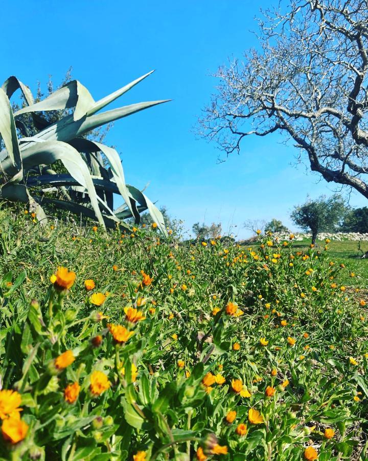 Masseria Limone Мартина Франка Екстериор снимка